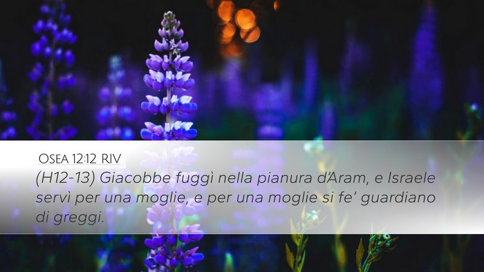 Osea 12:12 RIV Bible Verse Image