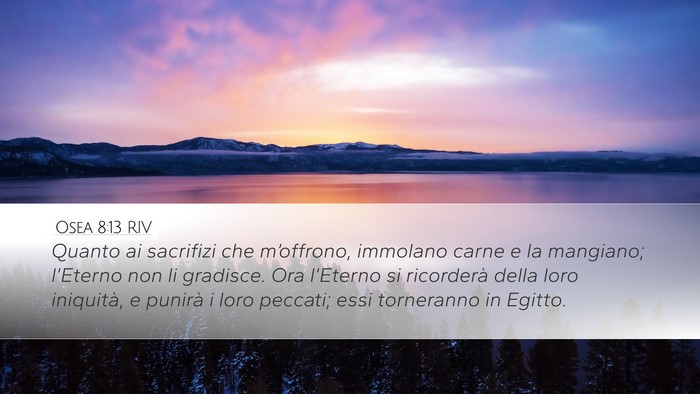 Osea 8:13 RIV Bible Verse Image