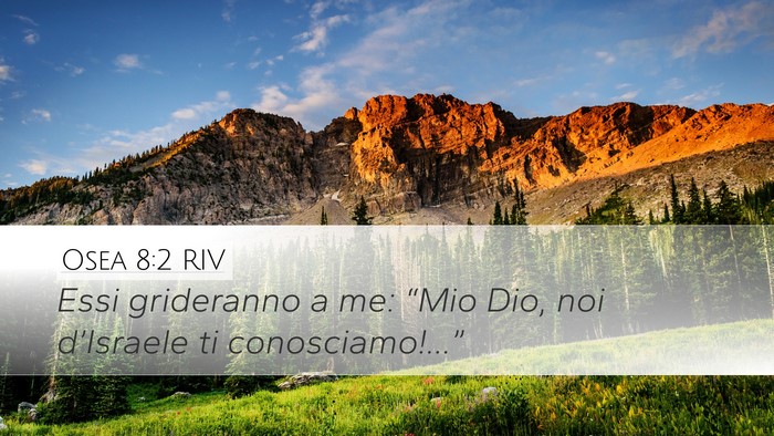 Osea 8:2 RIV Desktop Wallpaper - Essi grideranno a me: “Mio Dio, noi d’Israele - Desktop Bible Verse Wallpaper