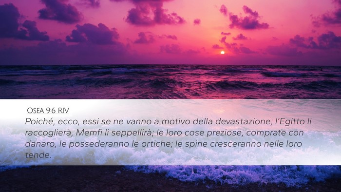 Osea 9:6 RIV Bible Verse Image