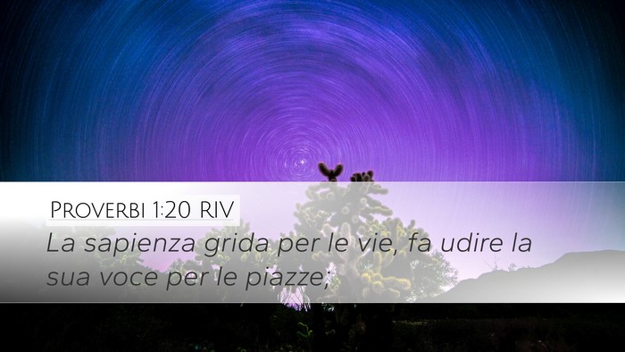 Proverbi 1:20 RIV Bible Verse Image