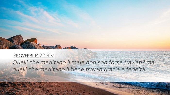 Proverbi 14:22 RIV Bible Verse Image