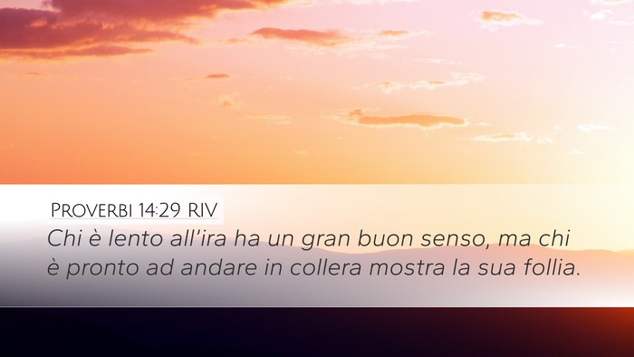 Proverbi 14:29 RIV Bible Verse Image