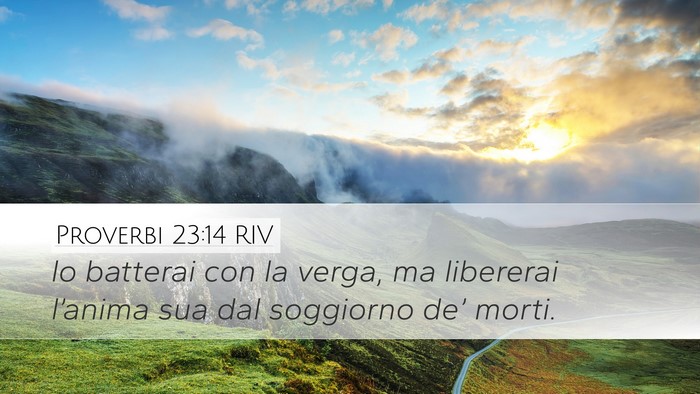 Proverbi 23:14 RIV Bible Verse Image