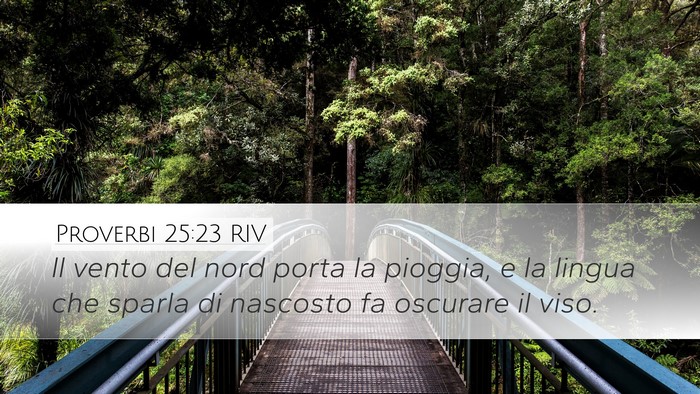 Proverbi 25:23 RIV Bible Verse Image