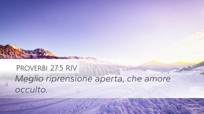 Proverbi 27:5 RIV Bible Verse Image