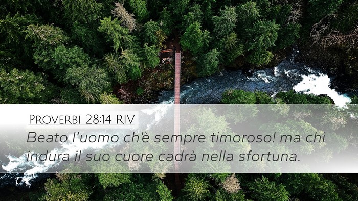 Proverbi 28:14 RIV Bible Verse Image