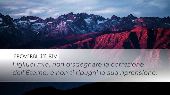 Proverbi 3:11 RIV Bible Verse Image