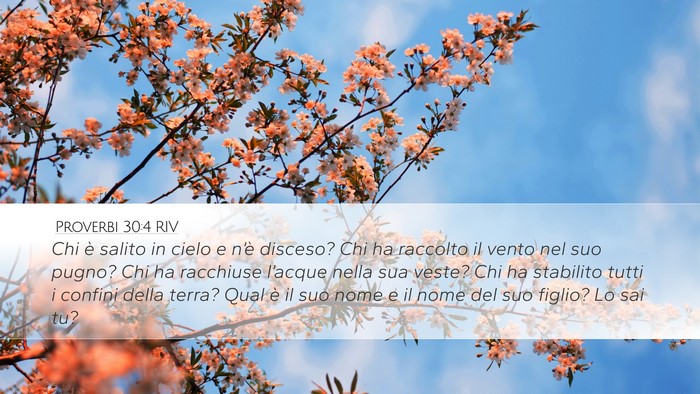 Proverbi 30:4 RIV Bible Verse Image