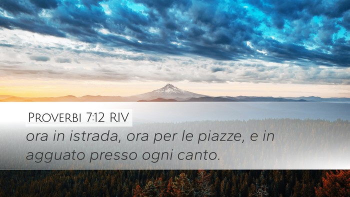 Proverbi 7:12 RIV Bible Verse Image