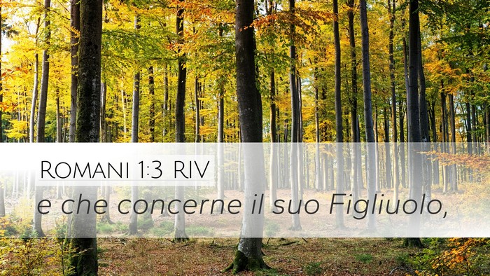 Romani 1:3 RIV Bible Verse Image