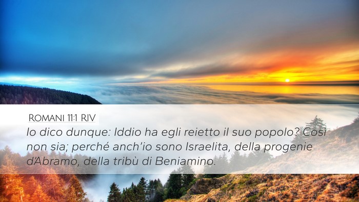 Romani 11:1 RIV Bible Verse Image