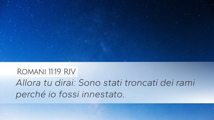 Romani 11:19 RIV Bible Verse Image