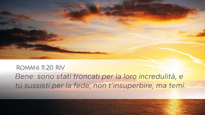 Romani 11:20 RIV Bible Verse Image