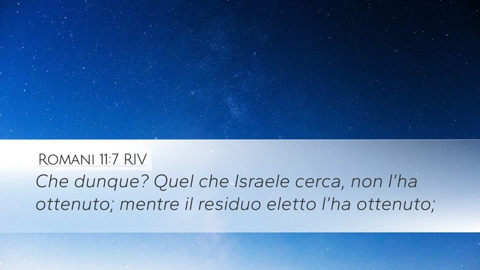 Romani 11:7 RIV Bible Verse Image