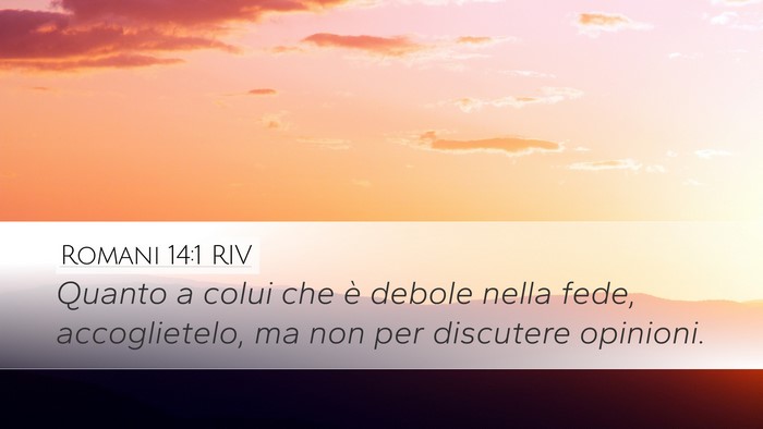 Romani 14:1 RIV Bible Verse Image