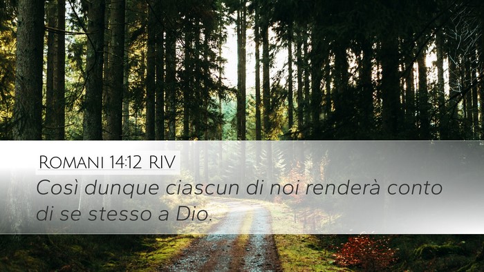 Romani 14:12 RIV Bible Verse Image