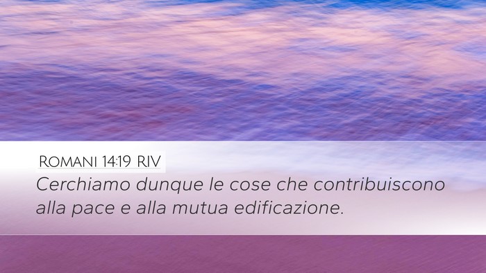 Romani 14:19 RIV Bible Verse Image