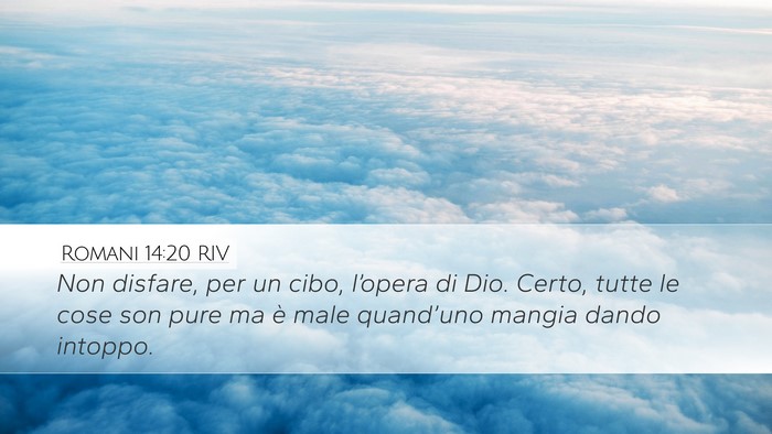 Romani 14:20 RIV Bible Verse Image