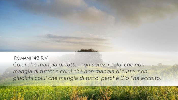 Romani 14:3 RIV Bible Verse Image