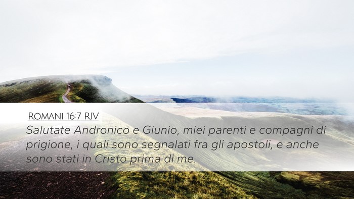 Romani 16:7 RIV Bible Verse Image