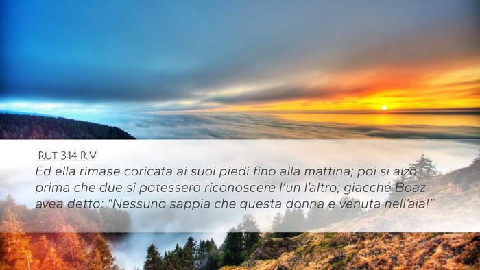 Rut 3:14 RIV Desktop Wallpaper - Ed ella rimase coricata ai suoi piedi fino alla - Desktop Bible Verse Wallpaper