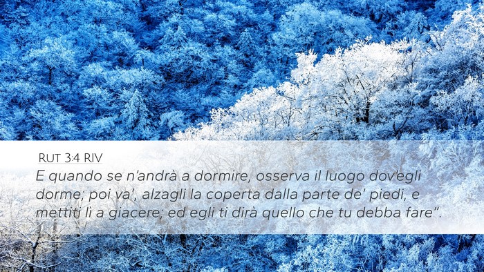 Rut 3:4 RIV Desktop Wallpaper - E quando se n’andrà a dormire, osserva il - Desktop Bible Verse Wallpaper