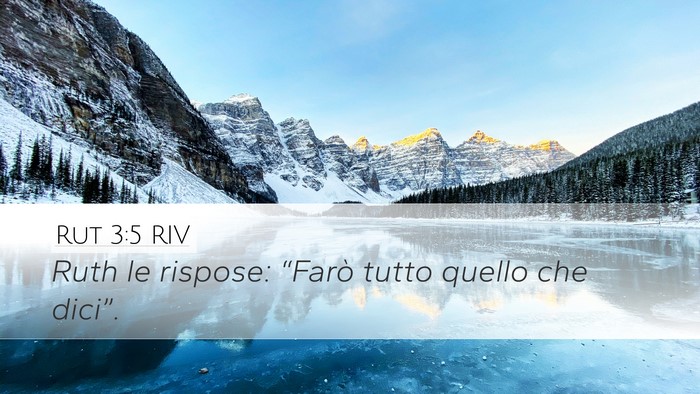 Rut 3:5 RIV Desktop Wallpaper - Ruth le rispose: “Farò tutto quello che - Desktop Bible Verse Wallpaper