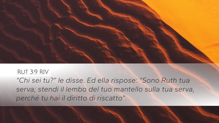 Rut 3:9 RIV Desktop Wallpaper - “Chi sei tu?” le disse. Ed ella rispose: - Desktop Bible Verse Wallpaper
