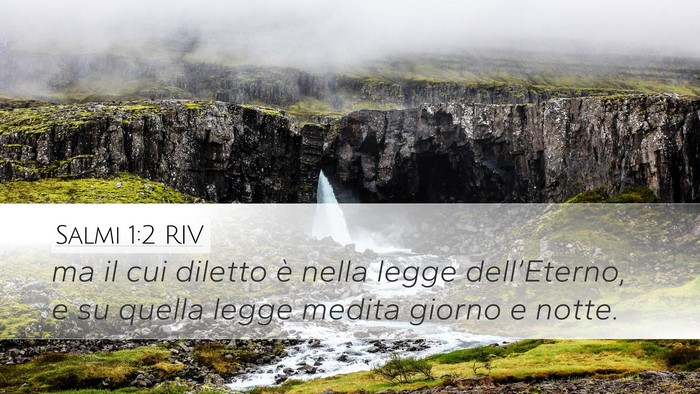 Salmi 1:2 RIV Desktop Wallpaper - ma il cui diletto è nella legge dell’Eterno, e - Desktop Bible Verse Wallpaper