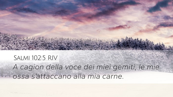 Salmi 102:5 RIV Bible Verse Image