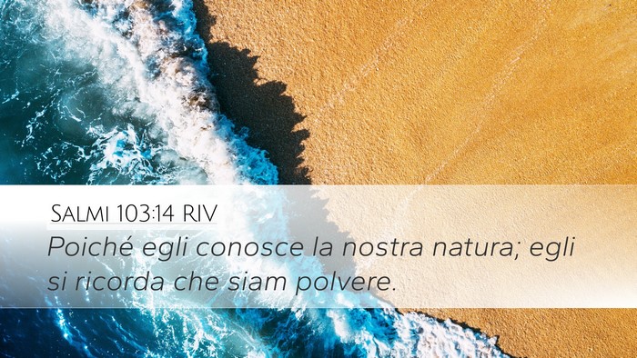 Salmi 103:14 RIV Bible Verse Image