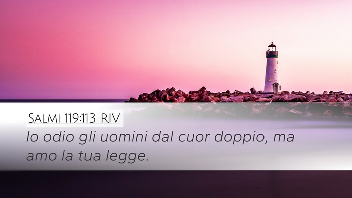 Salmi 119:113 RIV Desktop Wallpaper - Io odio gli uomini dal cuor doppio, ma amo la tua - Desktop Bible Verse Wallpaper