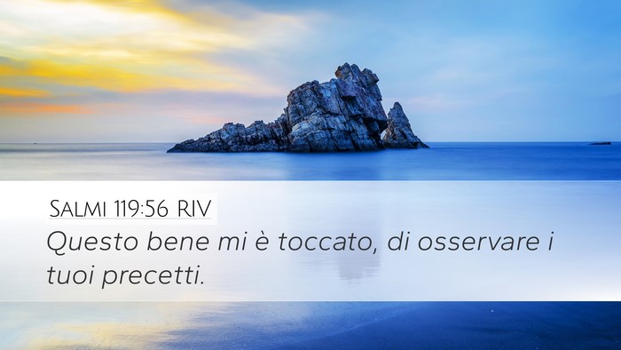 Salmi 119:56 RIV Desktop Wallpaper - Questo bene mi è toccato, di osservare i tuoi - Desktop Bible Verse Wallpaper