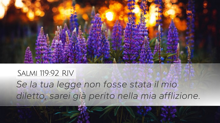 Salmi 119:92 RIV Bible Verse Image