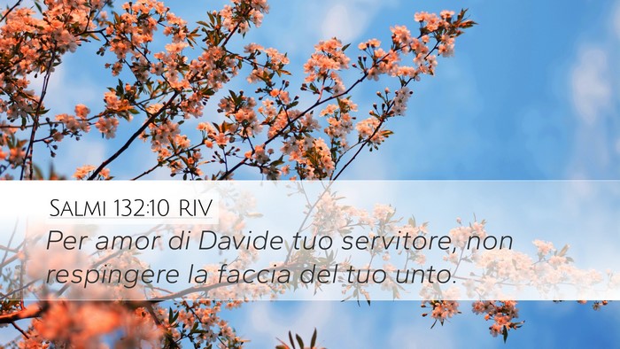 Salmi 132:10 RIV Desktop Wallpaper - Per amor di Davide tuo servitore, non respingere - Desktop Bible Verse Wallpaper