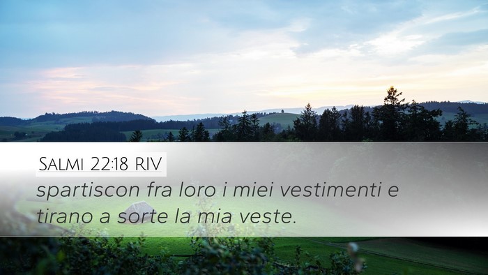 Salmi 22:18 RIV Desktop Wallpaper - spartiscon fra loro i miei vestimenti e tirano a - Desktop Bible Verse Wallpaper