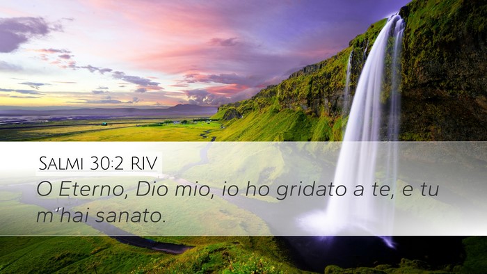 Salmi 30:2 RIV Bible Verse Image
