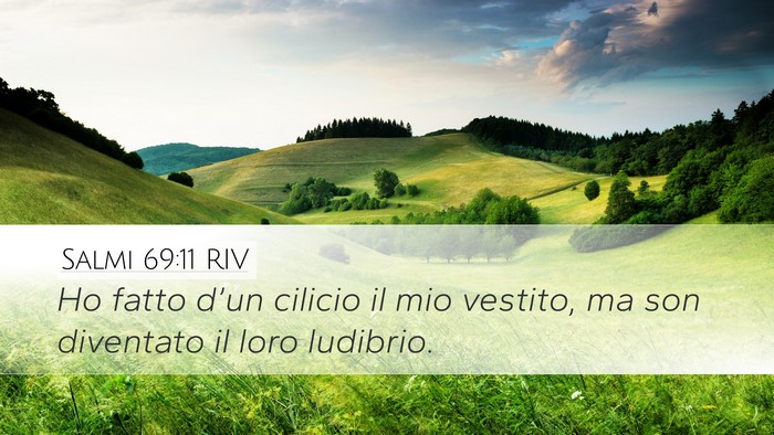 Salmi 69:11 RIV Desktop Wallpaper - Ho fatto d’un cilicio il mio vestito, ma son - Desktop Bible Verse Wallpaper