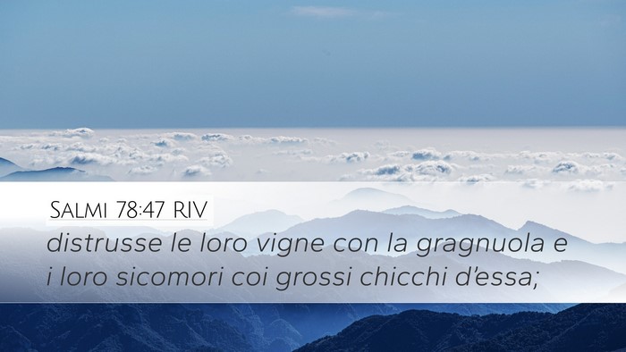 Salmi 78:47 RIV Desktop Wallpaper - distrusse le loro vigne con la gragnuola e i loro - Desktop Bible Verse Wallpaper