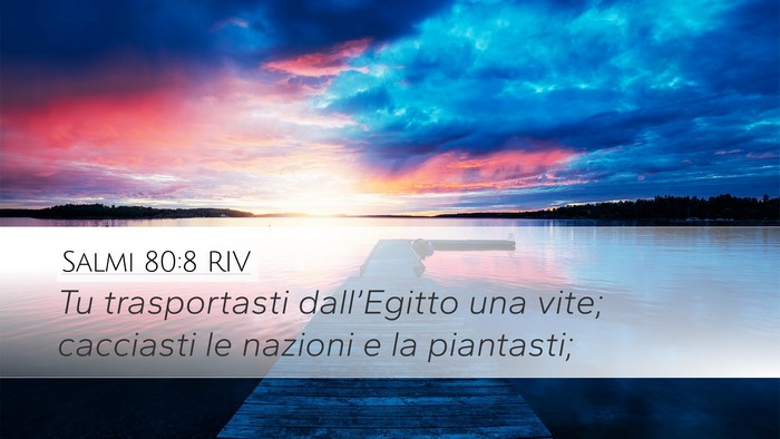 Salmi 80:8 RIV Bible Verse Image