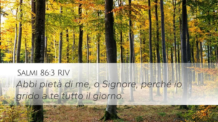 Salmi 86:3 RIV Desktop Wallpaper - Abbi pietà di me, o Signore, perché io grido a - Desktop Bible Verse Wallpaper