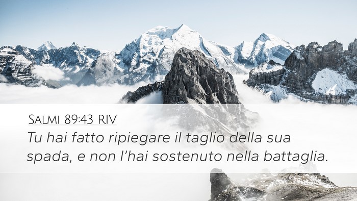 Salmi 89:43 RIV Desktop Wallpaper - Tu hai fatto ripiegare il taglio della sua spada, - Desktop Bible Verse Wallpaper