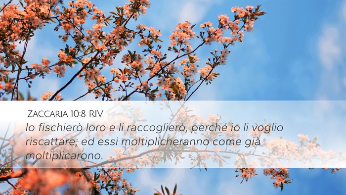 Zaccaria 10:8 RIV Bible Verse Image