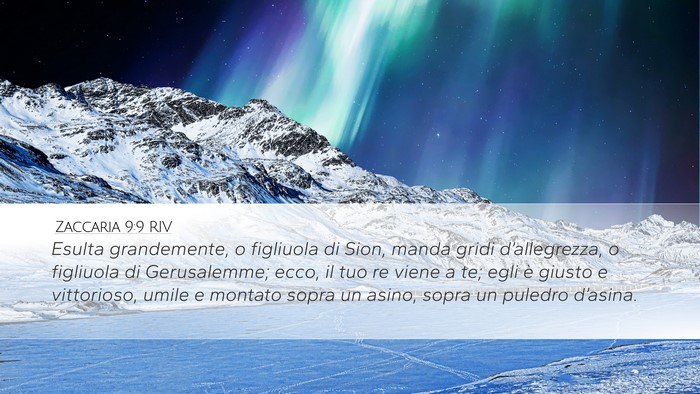 Zaccaria 9:9 RIV Bible Verse Image
