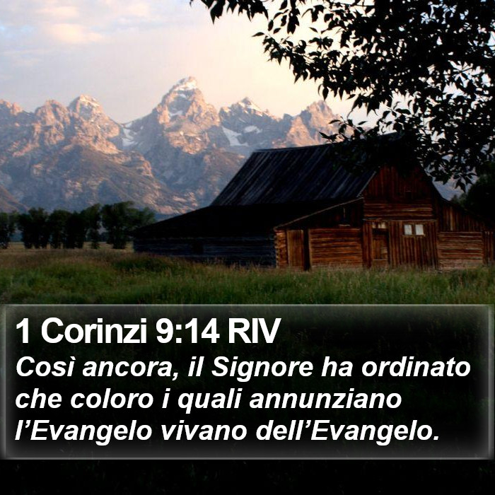 1 Corinzi 9:14 RIV - Così ancora, il Signore ha ordinato che coloro i - Bible Verse Picture