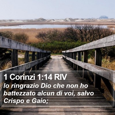 1 Corinzi 1:14 RIV Bible Verse Image