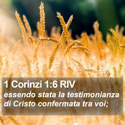 1 Corinzi 1:6 RIV Bible Verse Image