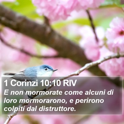 1 Corinzi 10:10 RIV Bible Verse Image