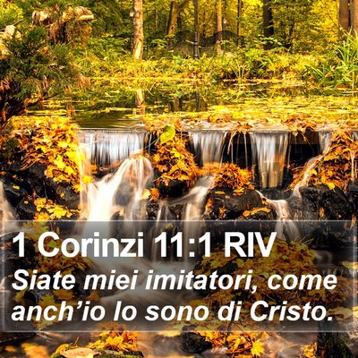 1 Corinzi 11:1 RIV Bible Verse Image